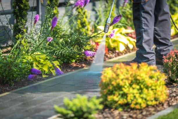 Professional Pressure Washing Services in Roaring Spring, PA